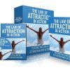 The Law Of Attraction In Action 600x394