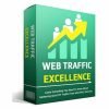 Web Traffic Excellence 1 Web Traffic Excellence 600x394