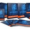 Wired To Succeed 600 394