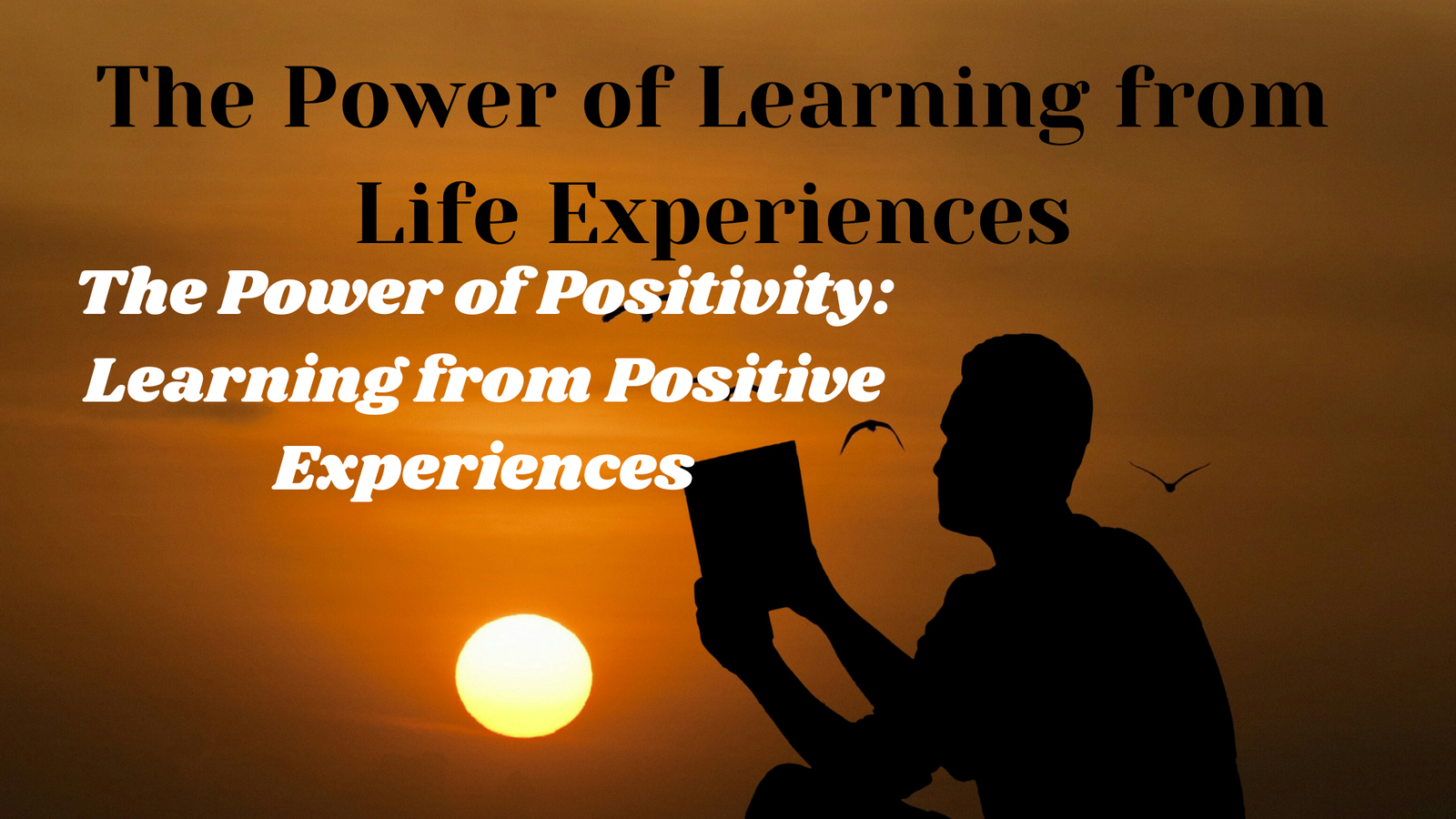 The Power of Learning from Life Experiences: 7.The Power of Positivity: Learning from Positive Experiences