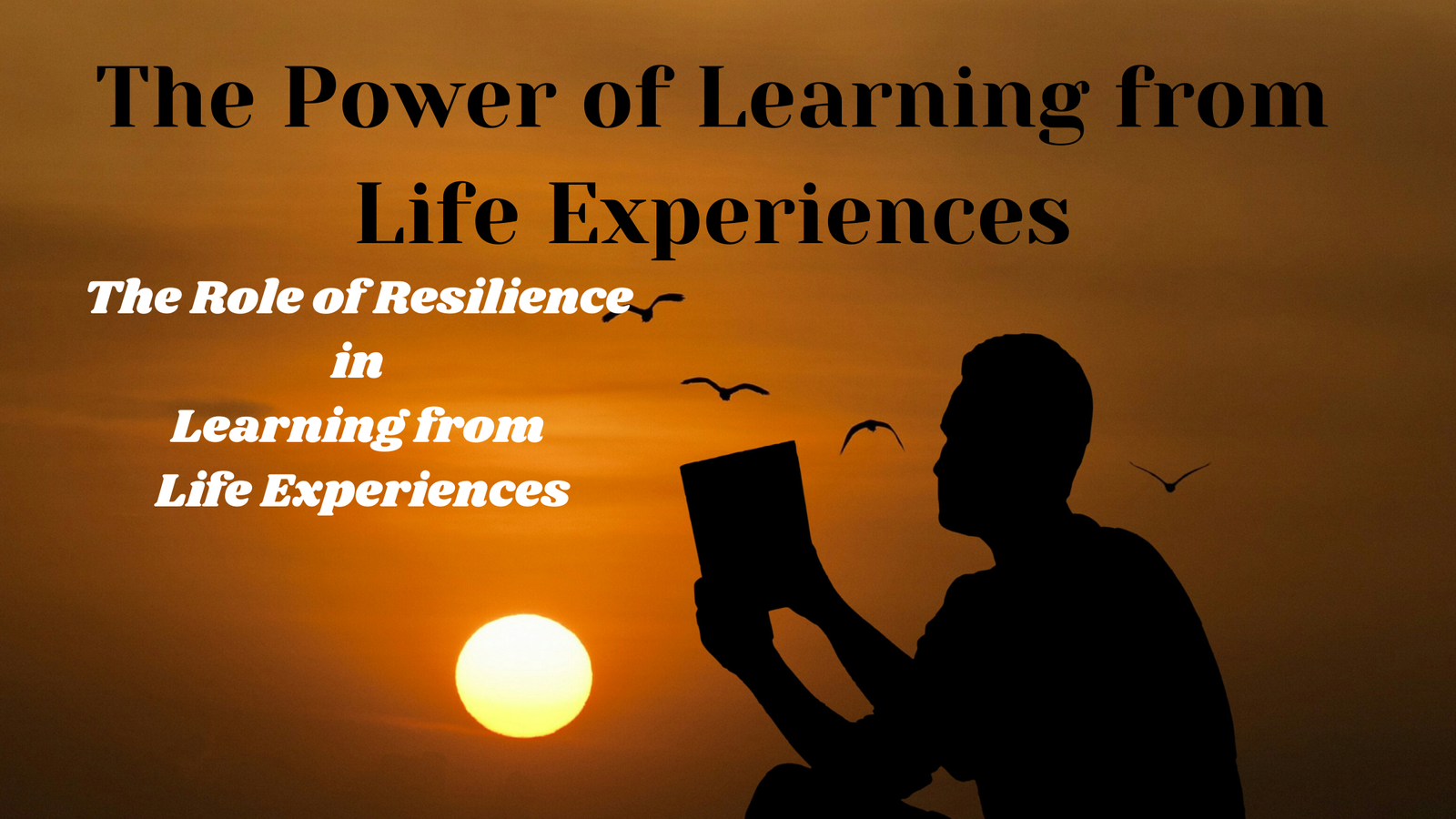 The Power of Learning from Life Experiences: 9.The Role of Resilience in Learning from Life Experiences