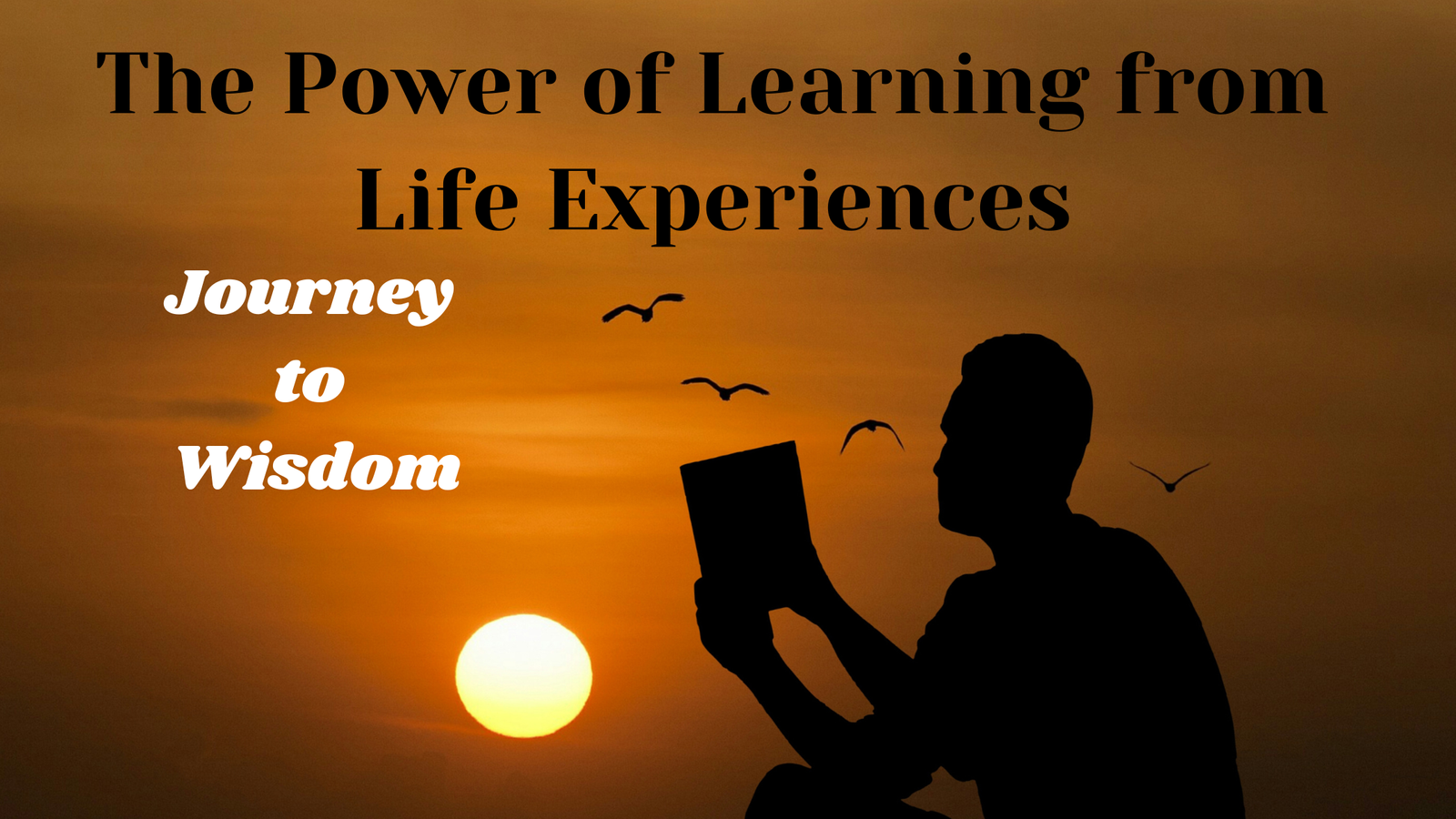 The Power of Learning from Life Experiences: 1. Your Journey to Wisdom