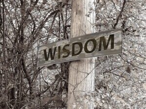 Life lessons: Taking into account the experience 9 Read more about the article Life lessons: Taking into account the experience